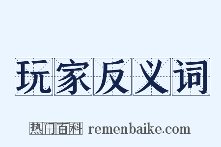玩家反义词是什么意思的图片